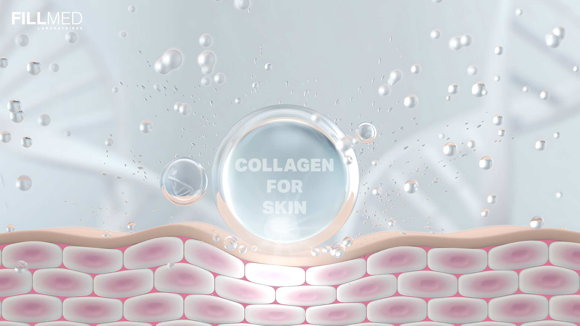 Collagen Stimulator